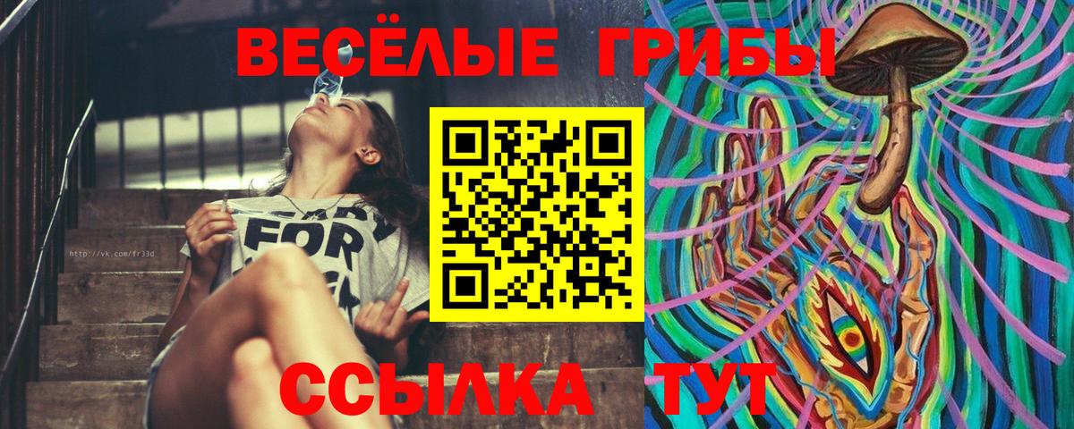 Галлюциногенные грибы GOLDEN TEACHER Домодедово